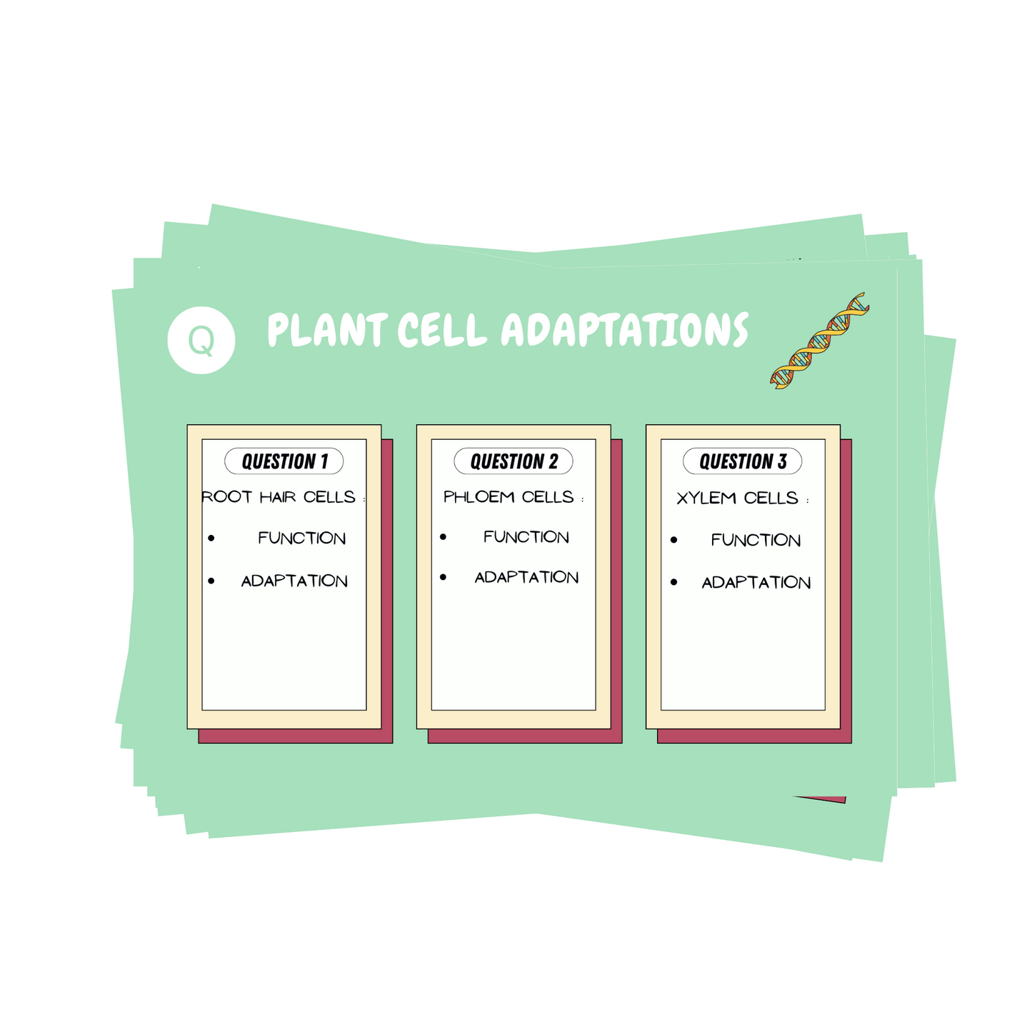 GCSE Biology Flashcards